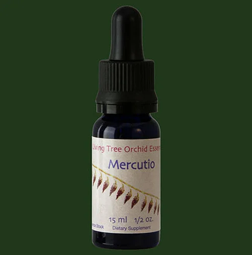 mercutio-lifesize041jpg.jpg
