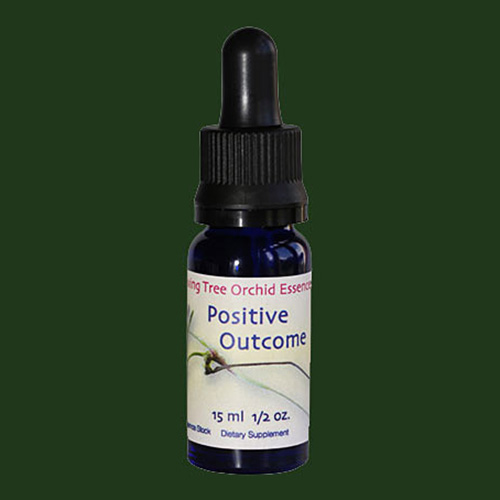 positiveoutcome-lifesize048jpg.jpg