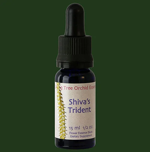 shivastrident-lifesize073jpg.jpg