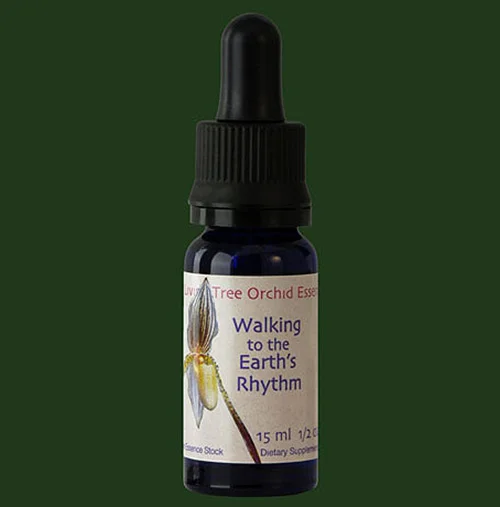 walkingearthsrhythm-lifesiz096jpg.jpg