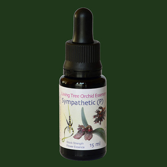 sympathetic-p-lifesize082jpg.jpg