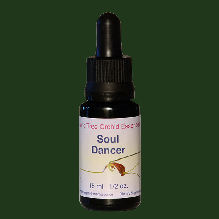 souldancer-lifesize075jpg.jpg