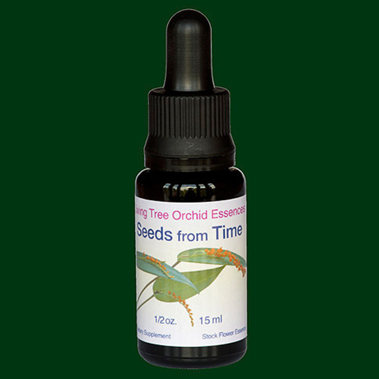 seedsfromtime-lifesize---copy065jpg.jpg