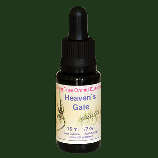 heavensgate-lifesize028jpg.jpg