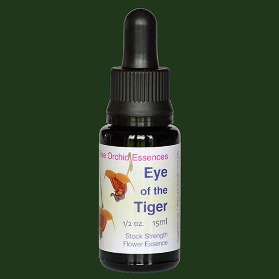 eyeofthetiger-lifesize020jpg.jpg