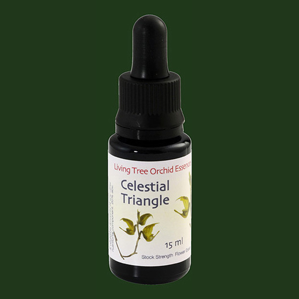 celestialtriangle-lifesize009jpg.jpg