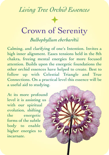 crownofserenity-back.png
