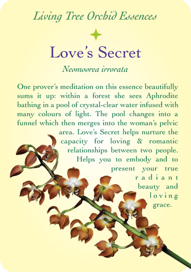 loves-secret-back.png