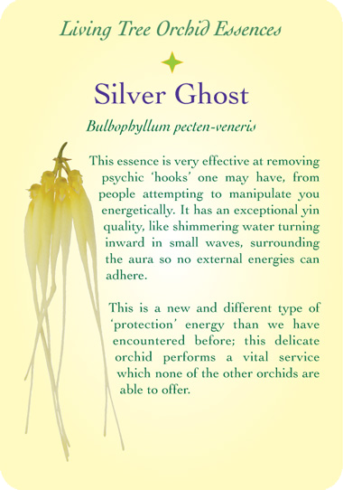 silver-ghost-back.png
