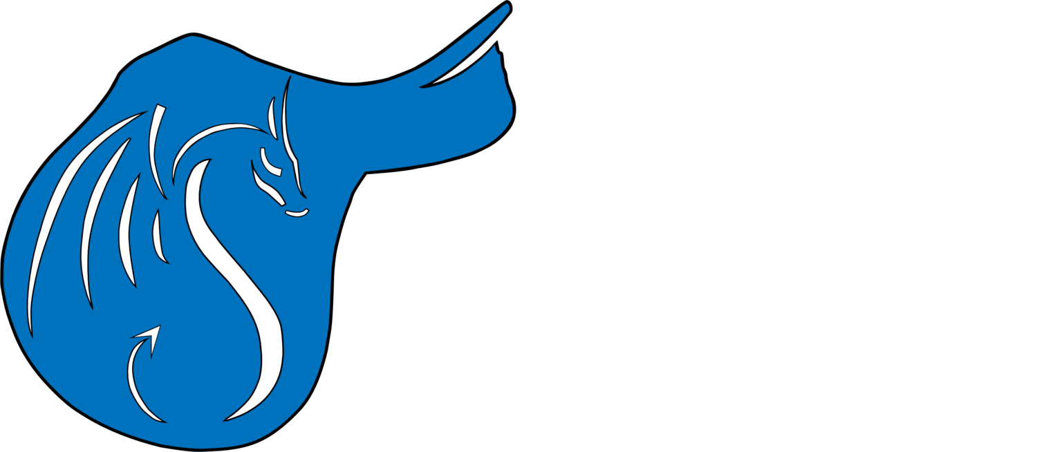 Saddle 'Em