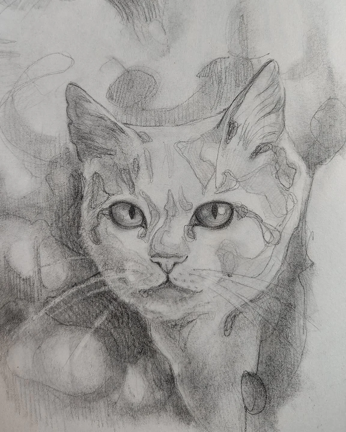 Mental health day with pencil and cats ❤️