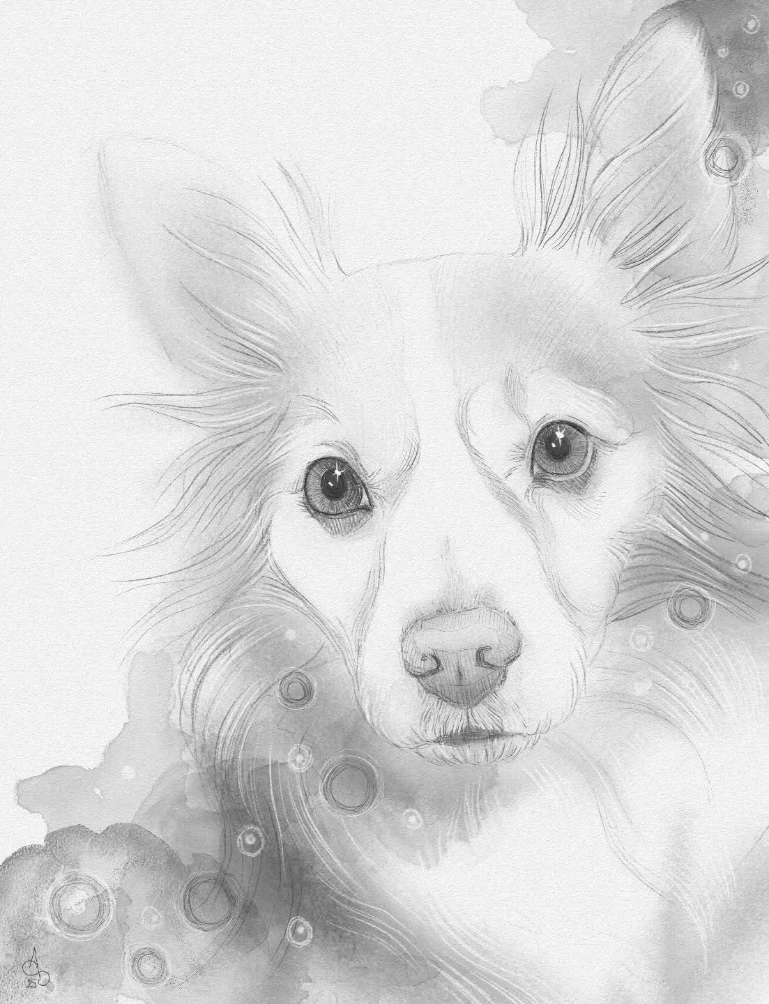 Sandy ❤️ her human asked me for a portrait of her.
It took me a while, because I wanted to control the outcome. Big mistake 🤣
At the end I surrendered, and her whimsical nature that I could feel took over.
Her human says I caught her nature, so yay!