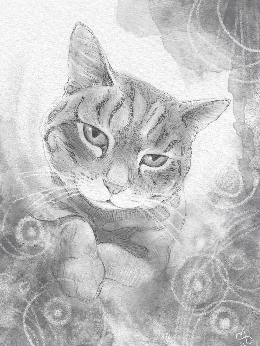 Pig the cat 😺 
Her grandma commissioned me this portrait of her. When I asked why a cat ended up with such a name, I discovered a kindred spirit: both of us really care about our food 🤣
.

Digital pencil made in @infinite.painter 

#artistsoninstag