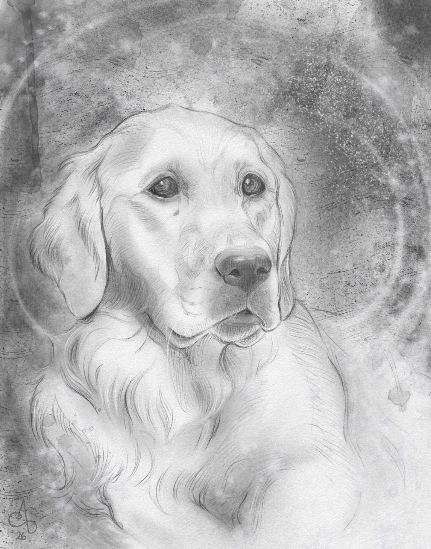 Meet sweet Ariel 🩵
Her human was kind enough to wait forever because I was all surgery messed up.
Finally found myself in the place to sit down with her and soak in her beautiful energy.
And *drum rolls* I completed my list of pets portraits commiss