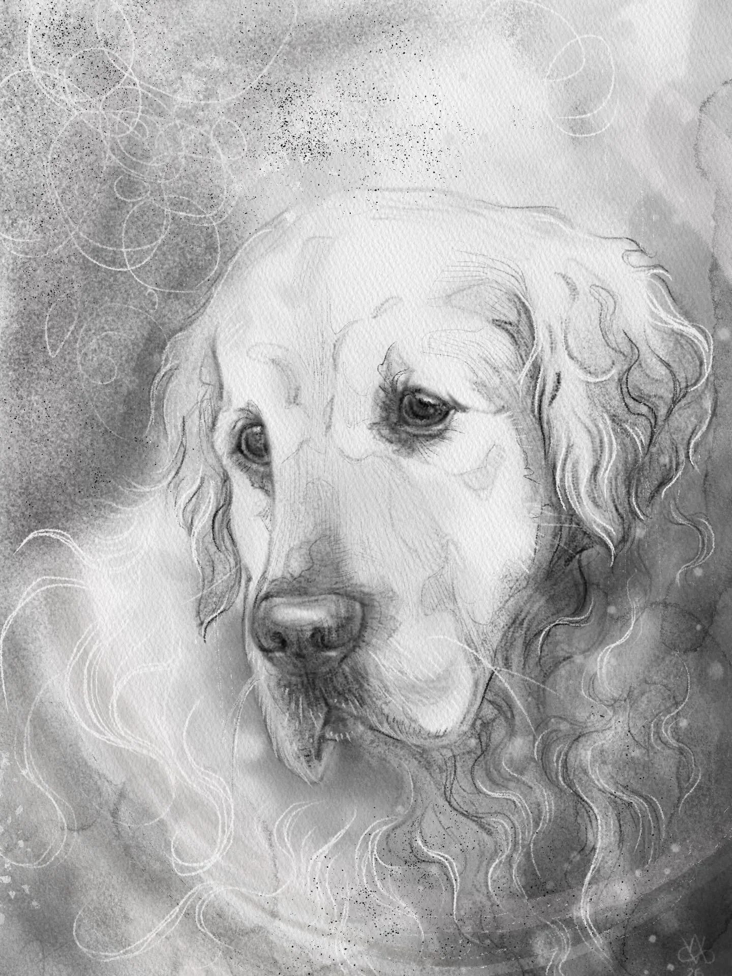 A portrait of sweet Axel, for his human to look at when they miss him 🩷
.
.
.
#petportait