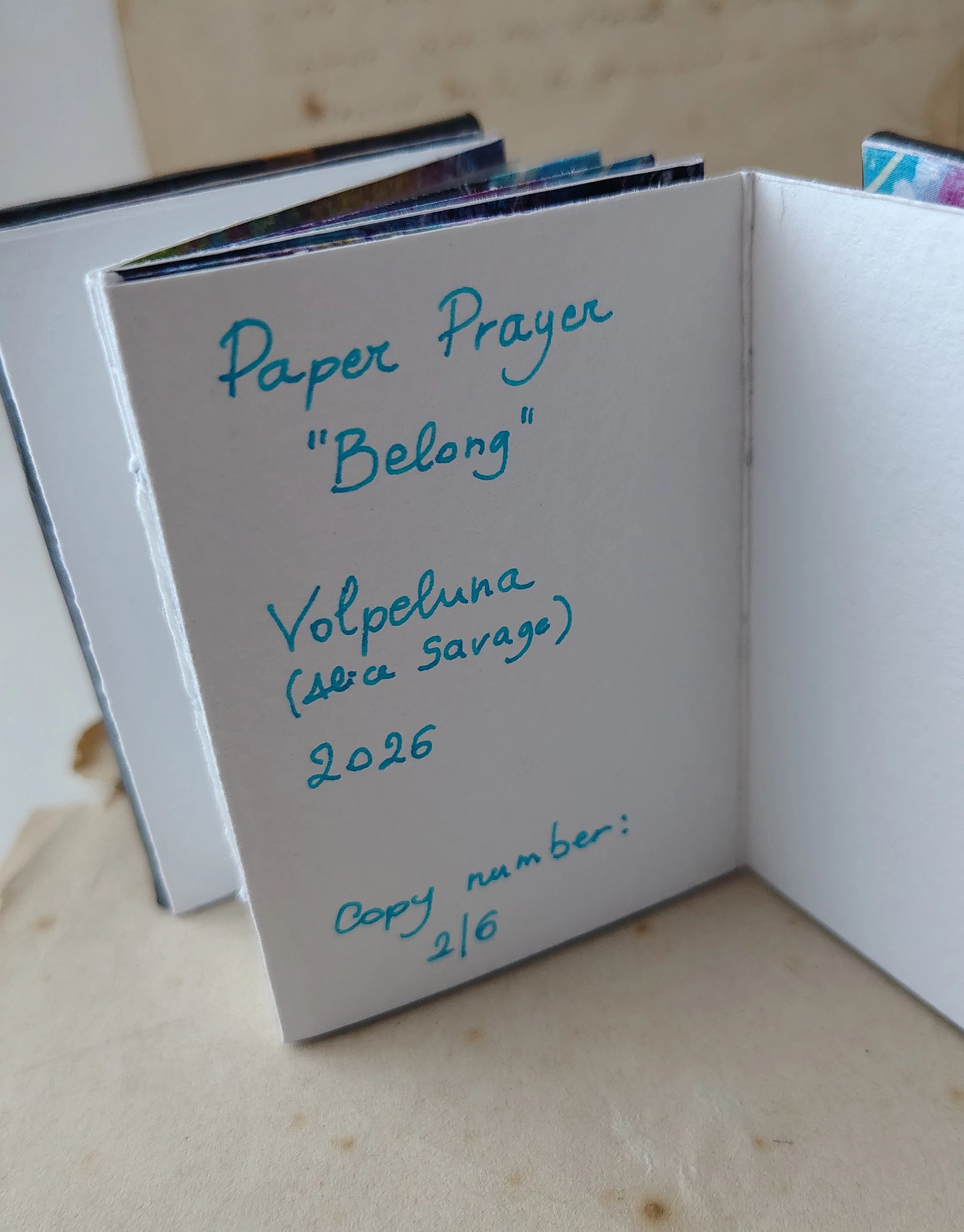 belong7.jpg