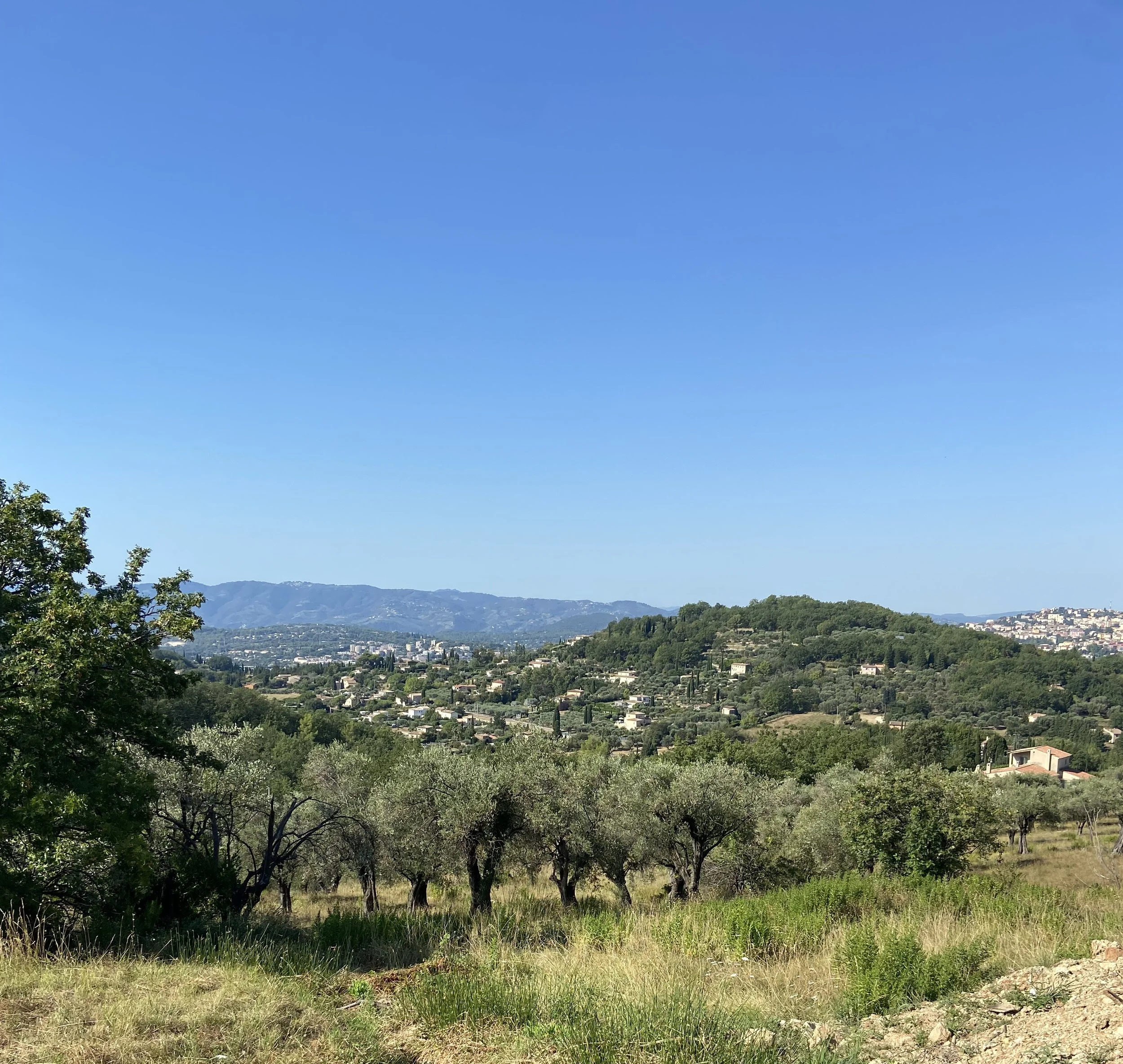IMG_6661.jpeg