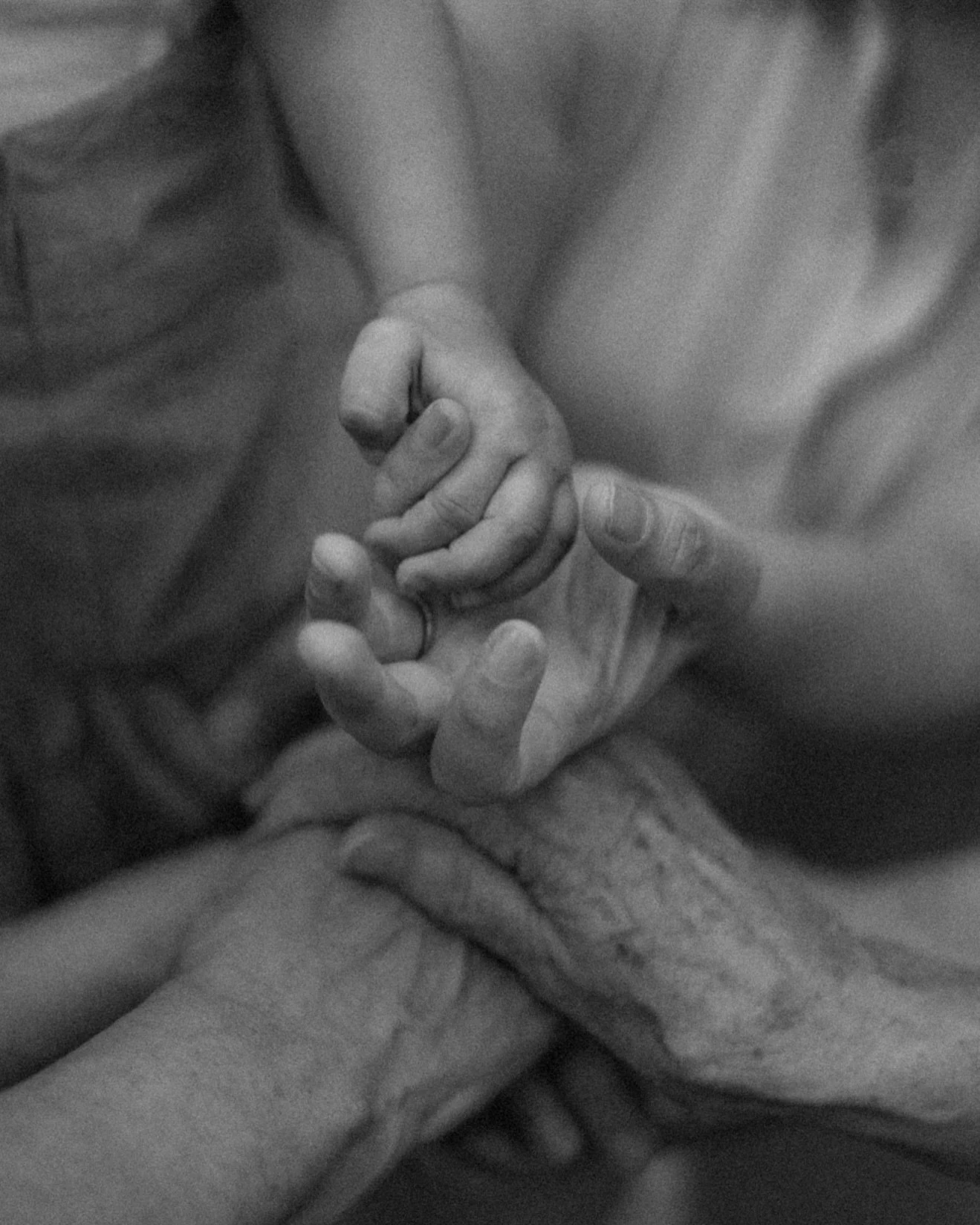 tiny moments, endless love. ♡
.
.
.
#perhekuvaus #perhekuvaaja #lapsikuvaus #lapsikuvaaja #valokuva #valokuvaajanaiset #valkovaajaturku #familyphotography #photographer