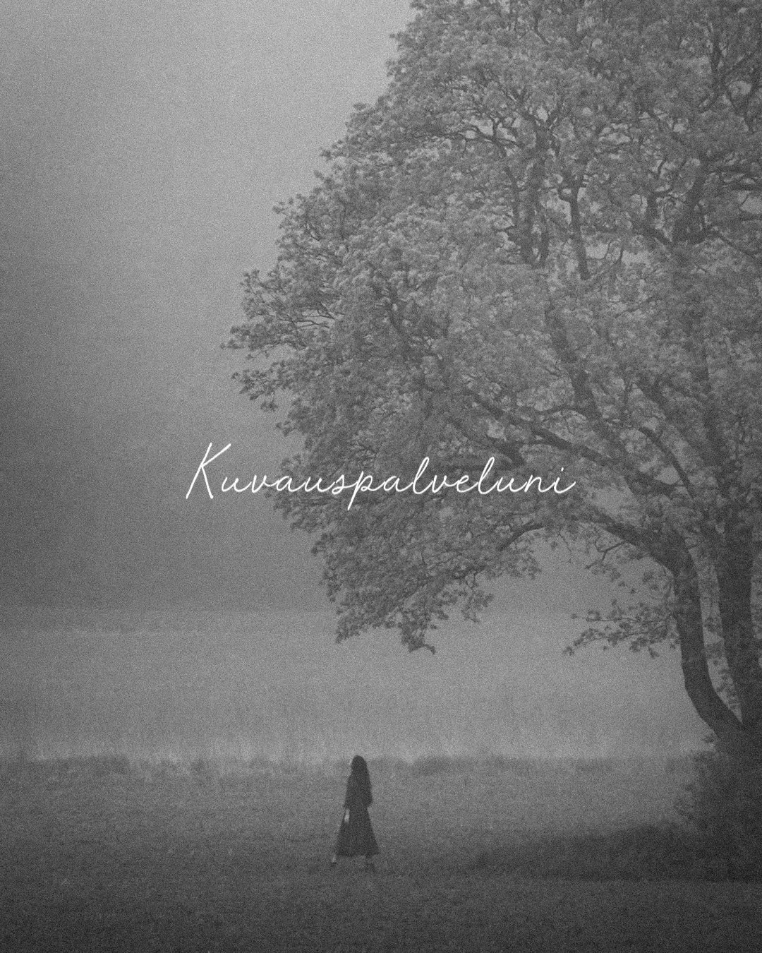 Kuvauspalveluni sinulle:

✨ Perhekuvaus
✨ Motherhood
✨ Odotuskuvaus
✨ Newborn
✨ Lapsikuvaus
✨ Parikuvaus, kihlakuvaus 
✨ H&auml;&auml;kuvaus

✨ Asuntokuvaus

Valokuvaus kanssani on kiireet&ouml;nt&auml; kotonanne,
tai kauniissa luonnon milj&ouml;&oum