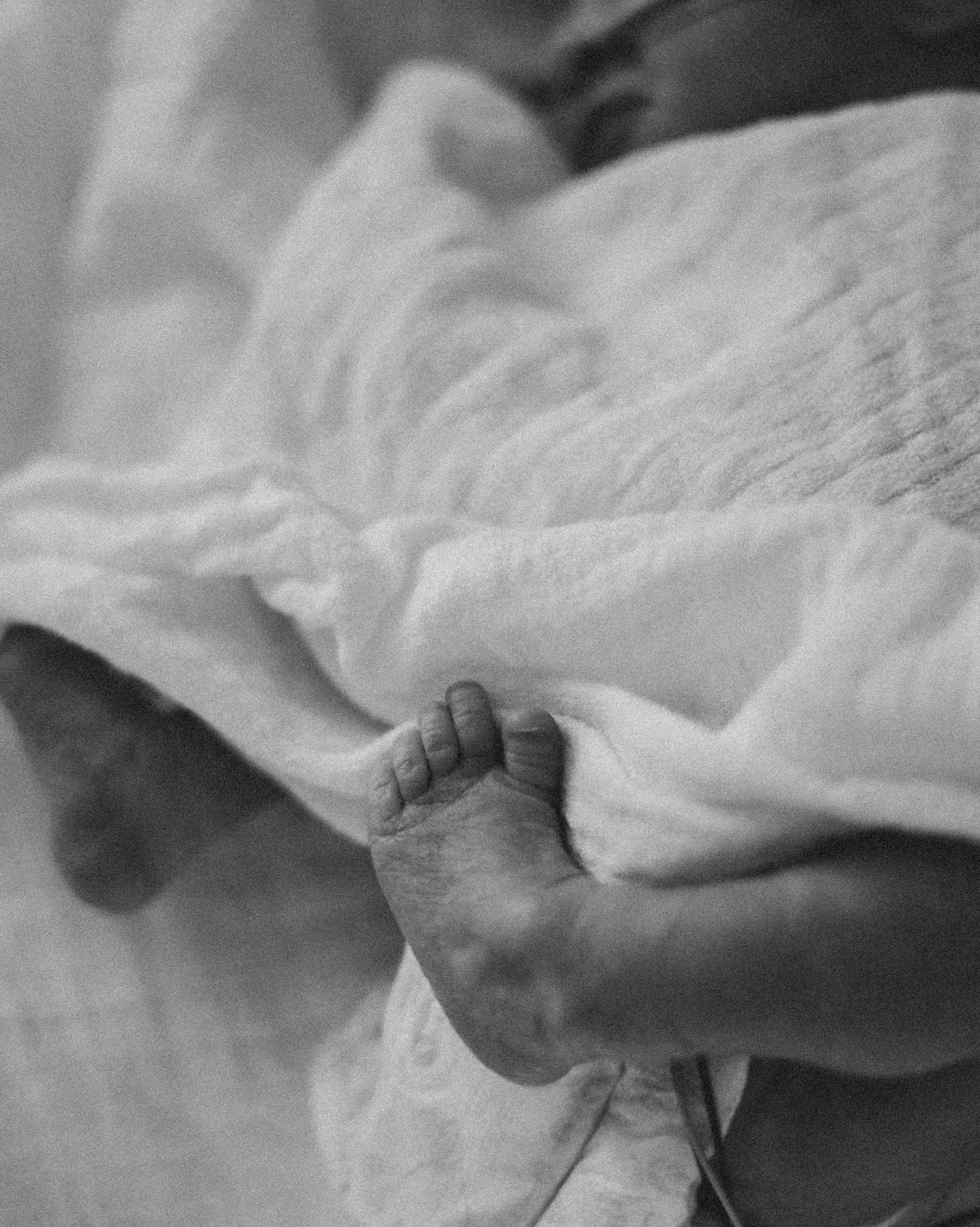 pure love in
tiny form. ♡

.
.
.
#newbornkuvaus #vauvakuvaus #lapsikuvaus #valokuvaajanaiset #valokuvaajaturku