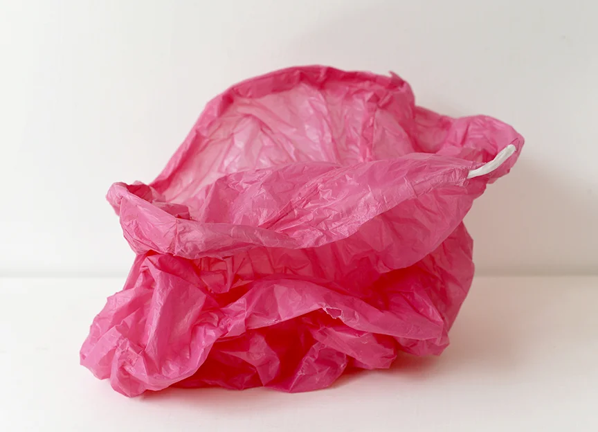 Plastic Bag