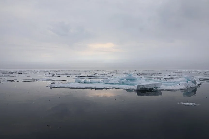 A Window of Opportunity, 2024