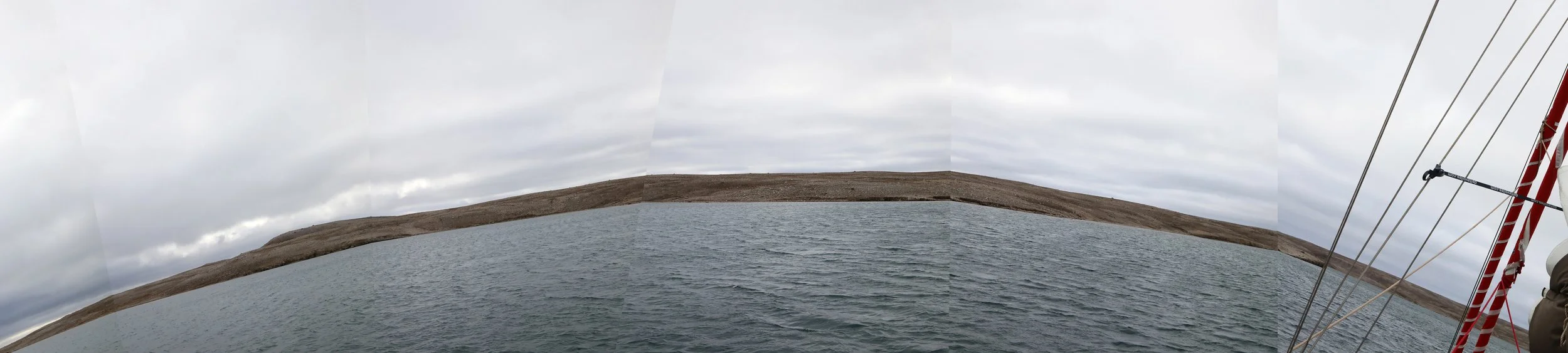 A Line of Circles, 2024