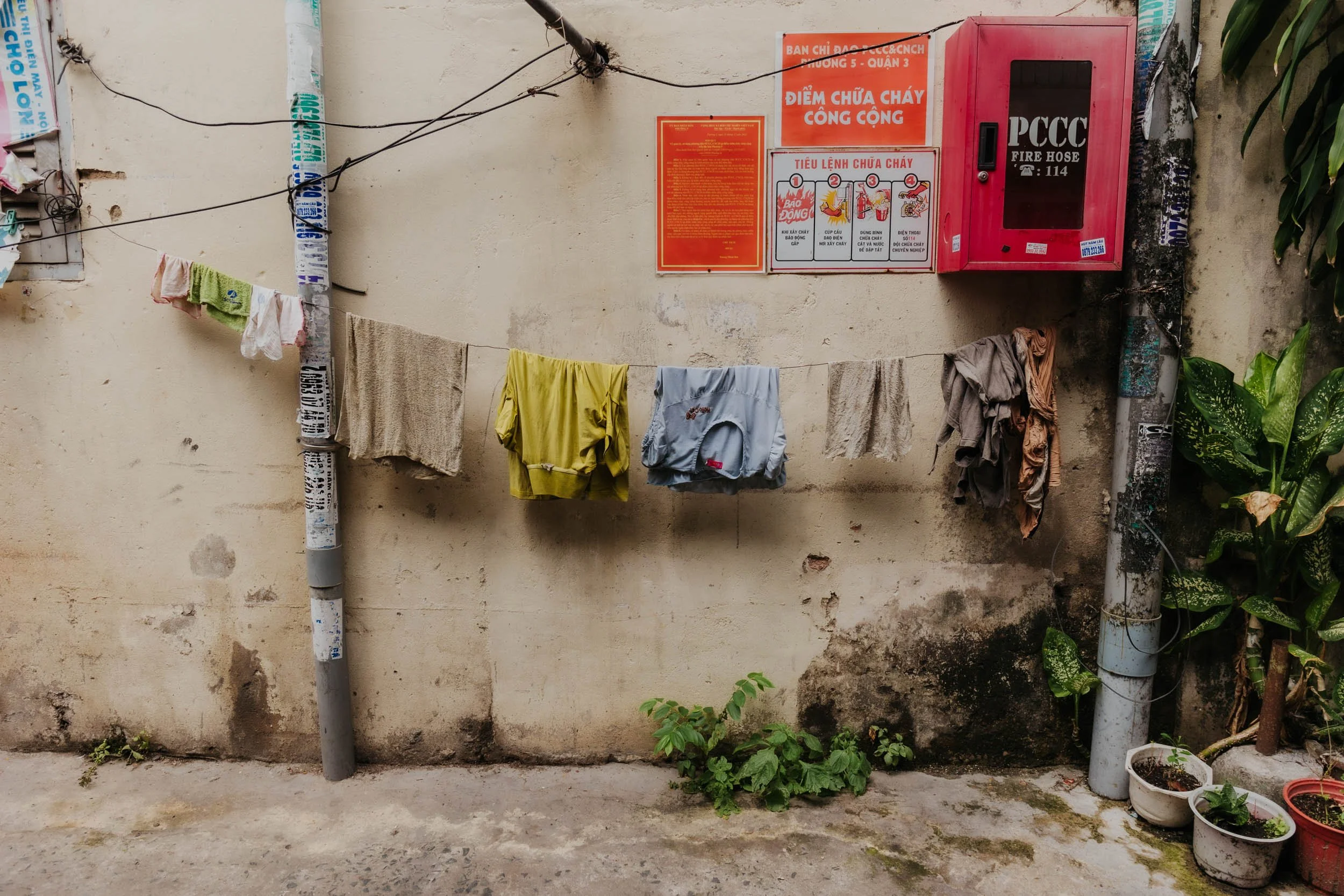 IMG_7072.jpg