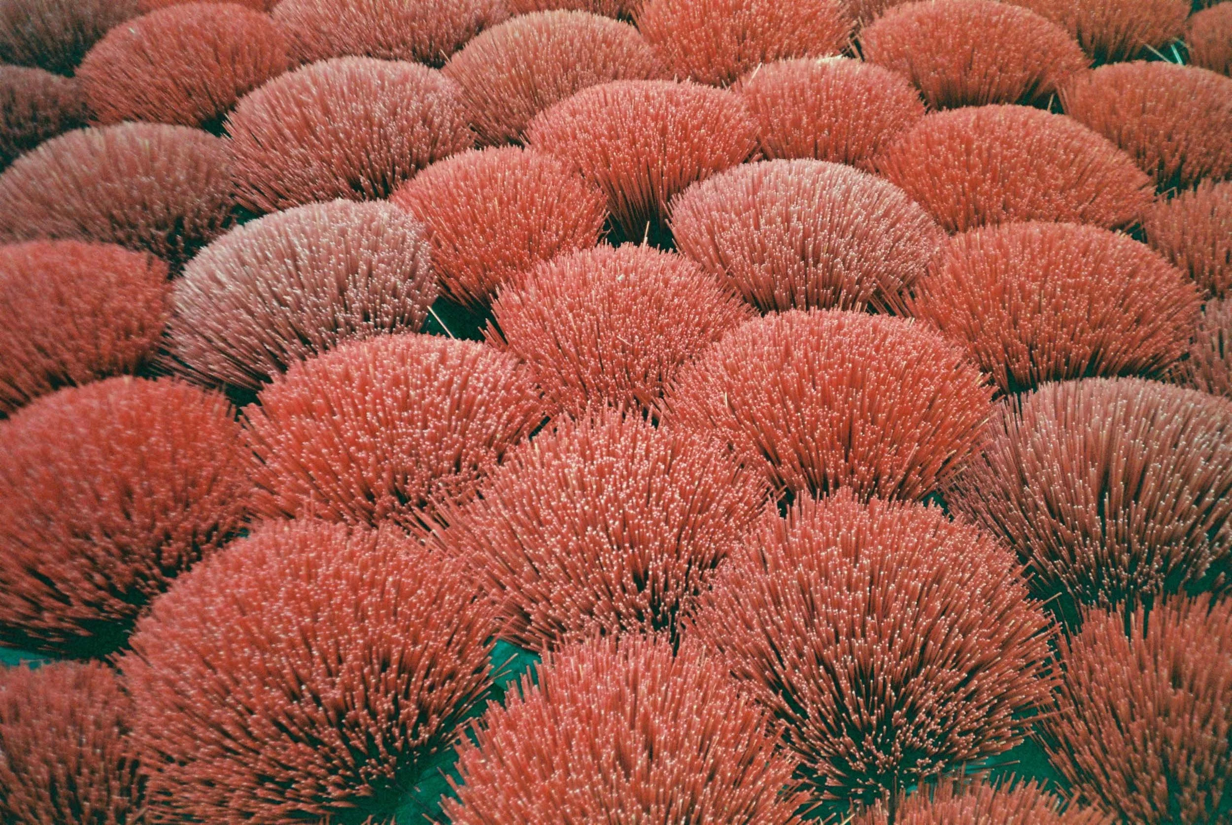 000006.jpg