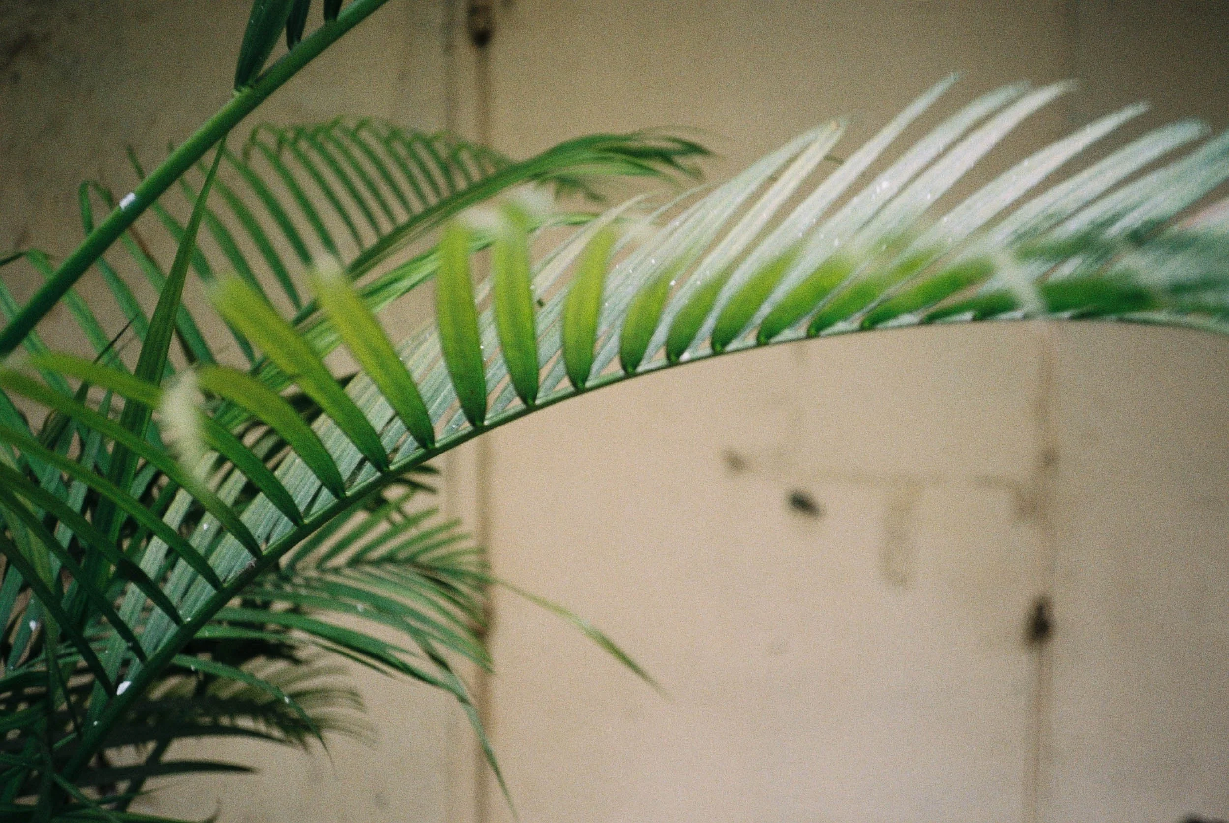 000030.jpg