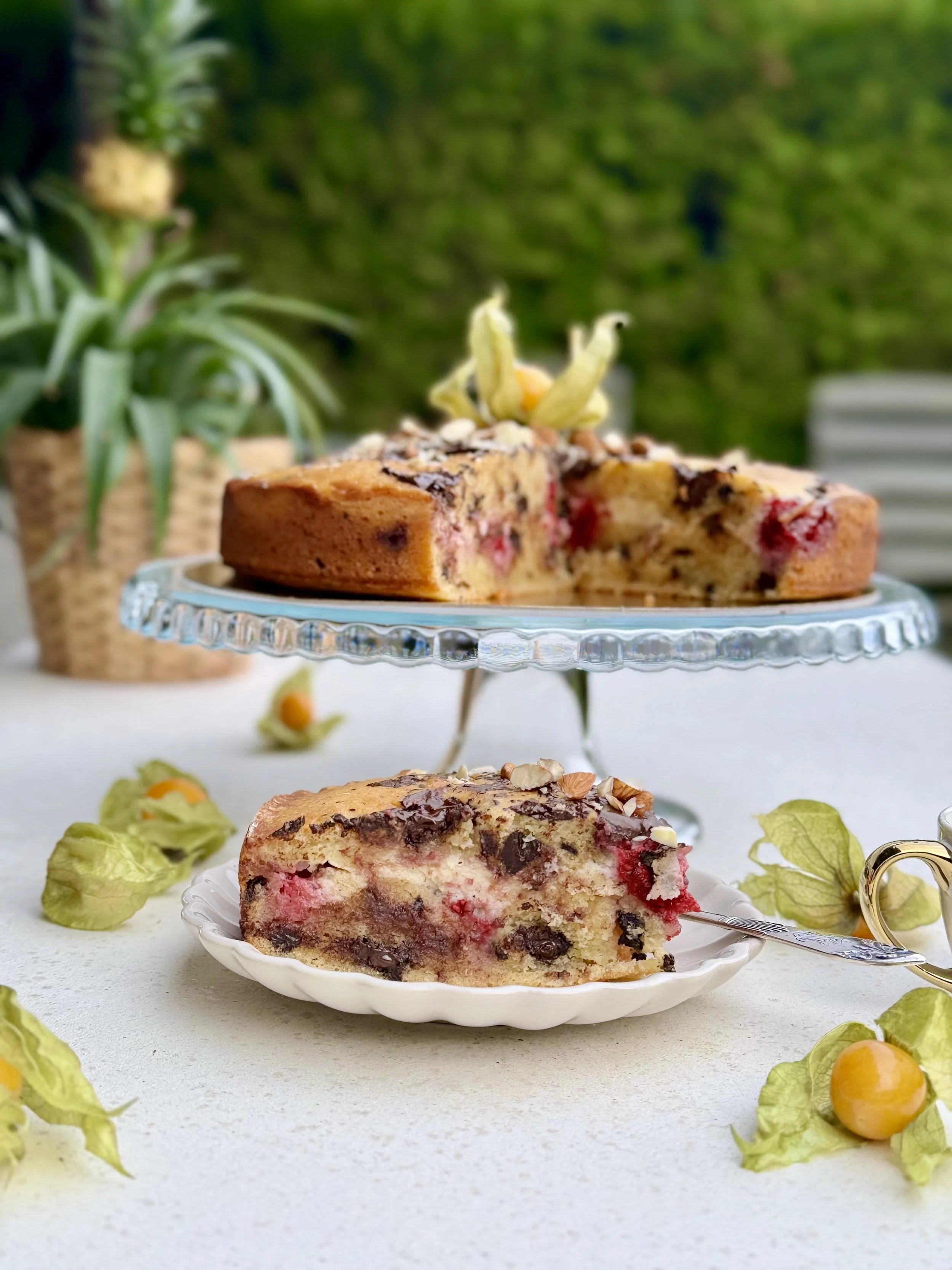 Rikotas, mandeļu un šokolādes kūka. 