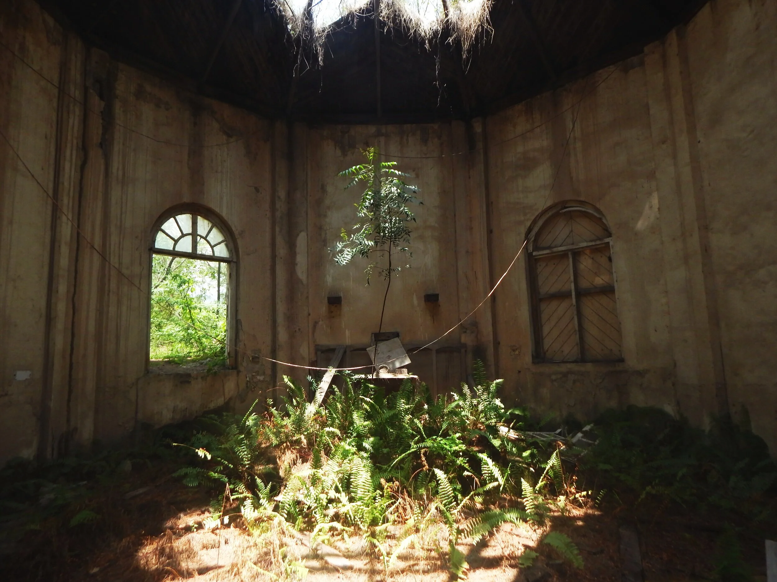 A Tree Grows from the Altar