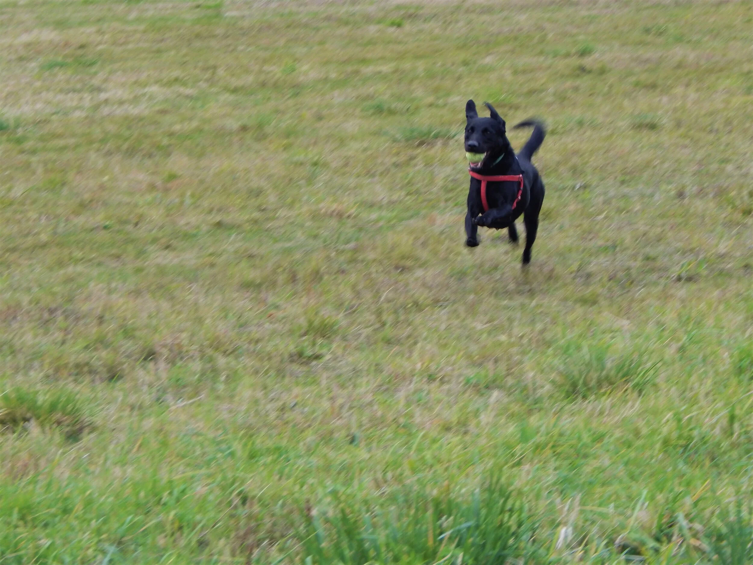 Forget the Rest – How Will the Climate Crisis Affect ME, a Privileged White Male?