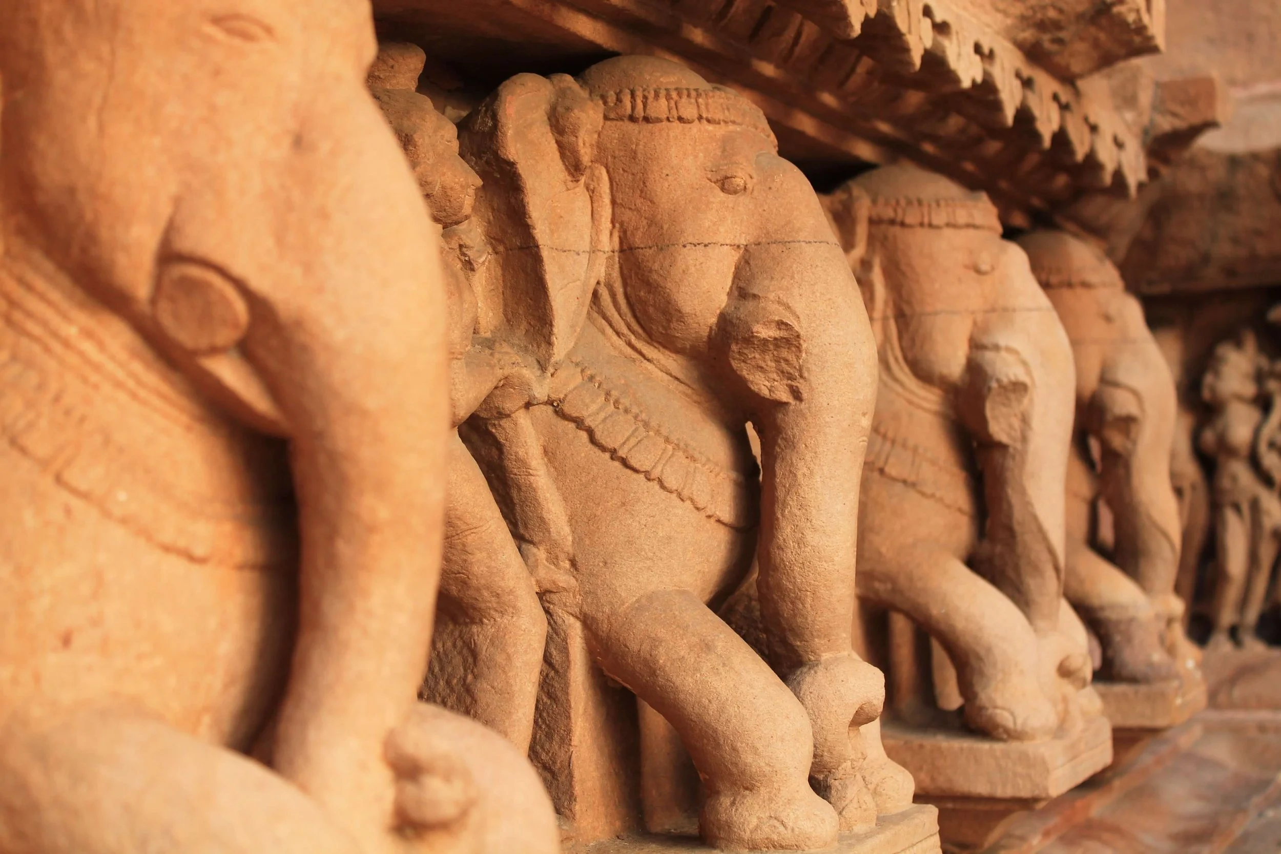 Cómo el yoga arruinó mi vida y cómo me la salvó después (Parte I)