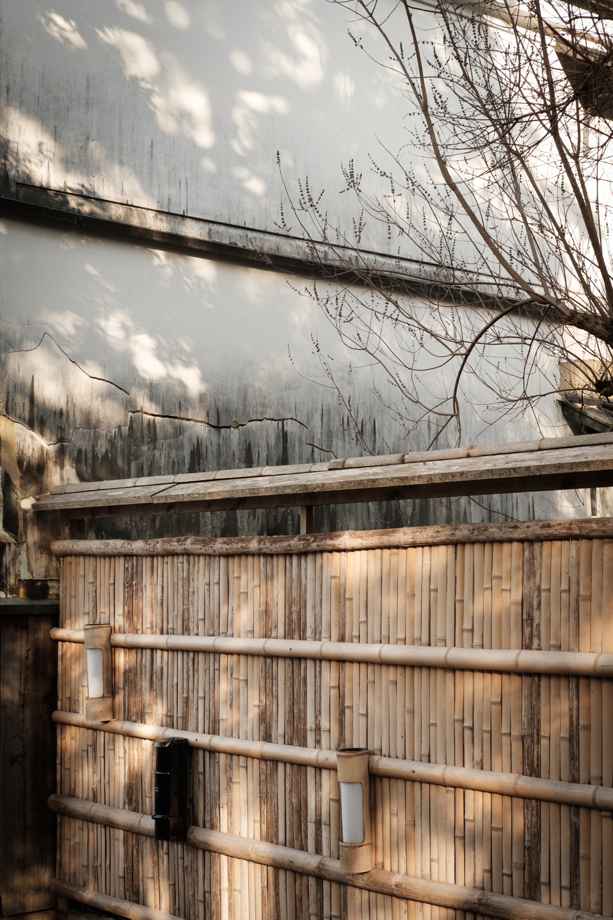  Bamboo Fence / Kyoto 2017 