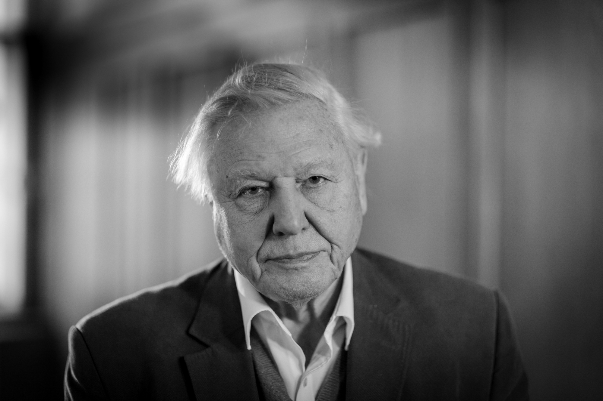  Sir David Attenborough CBE / London 2015 