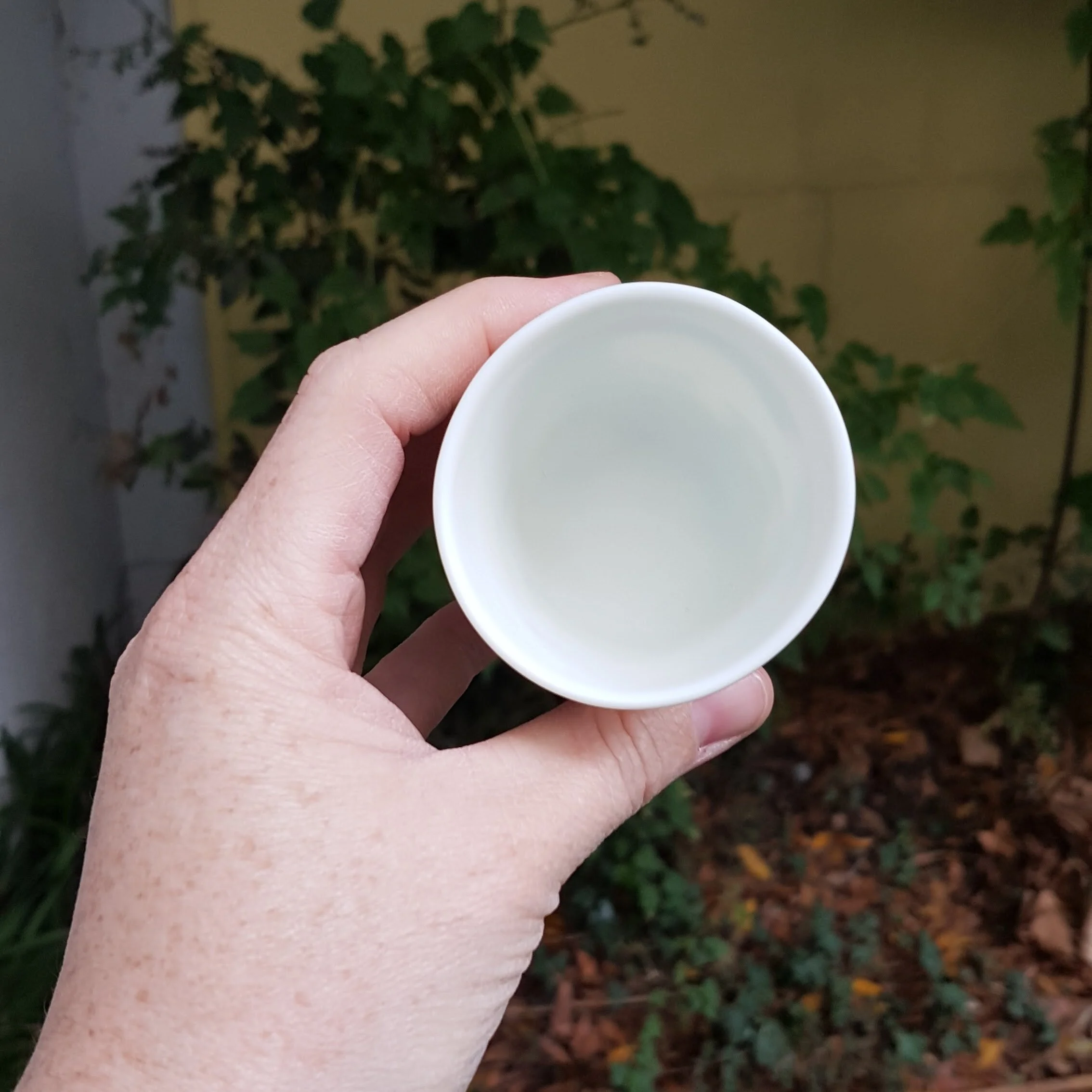 Tasse espresso porcelaine baleine 2 bleu vert101418.jpg