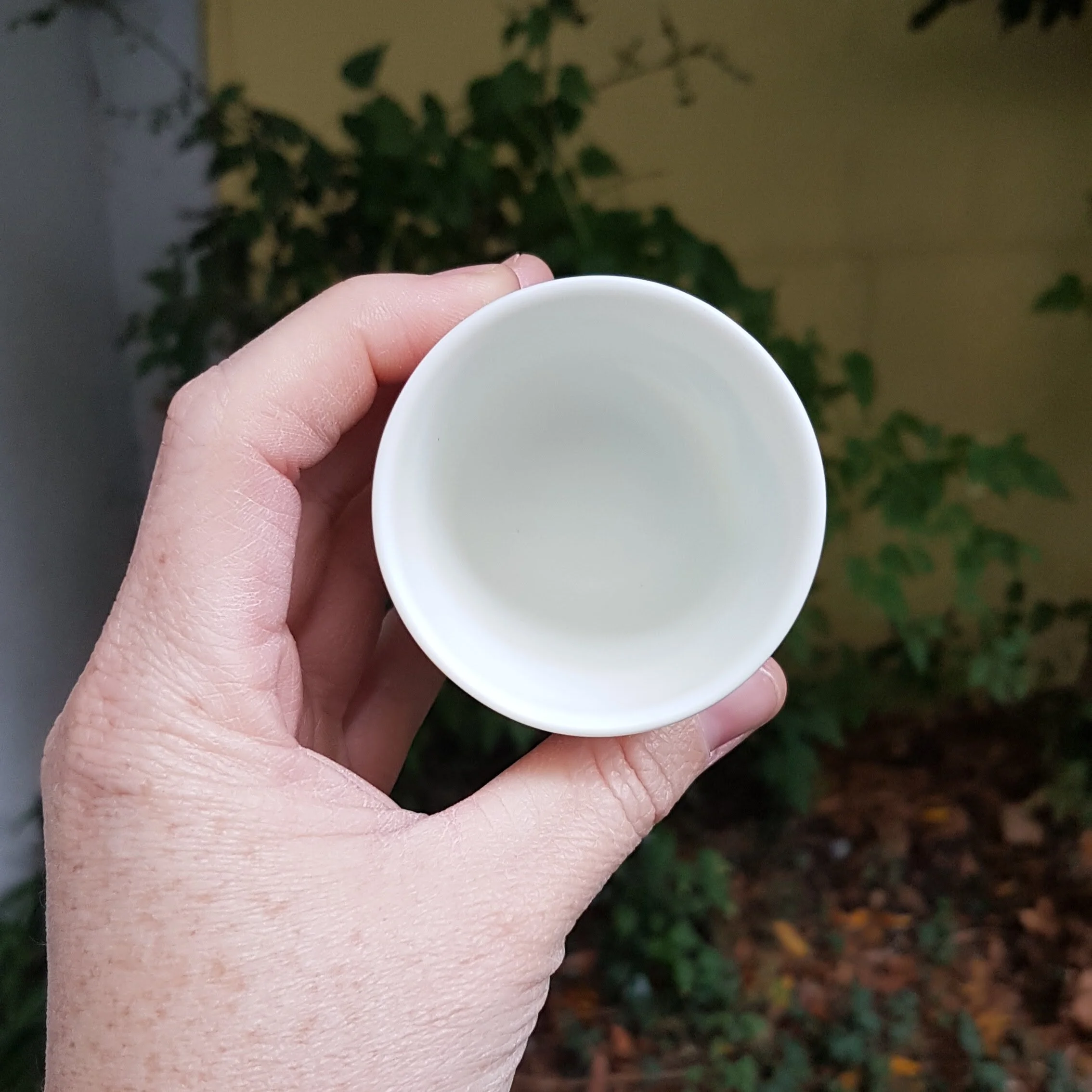Tasse espresso porcelaine chauve souris bleu vert101403.jpg