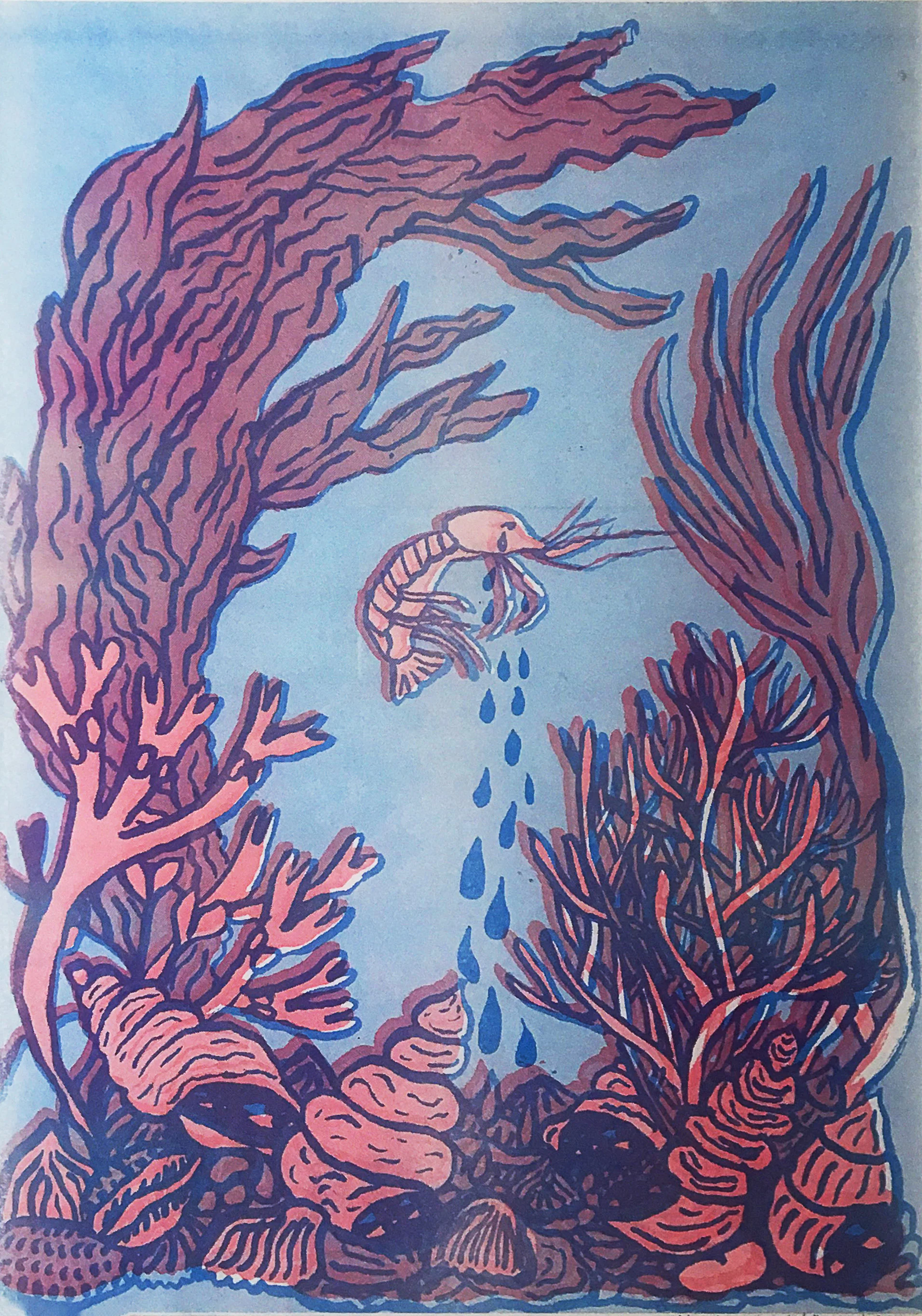 shrimp2.jpg