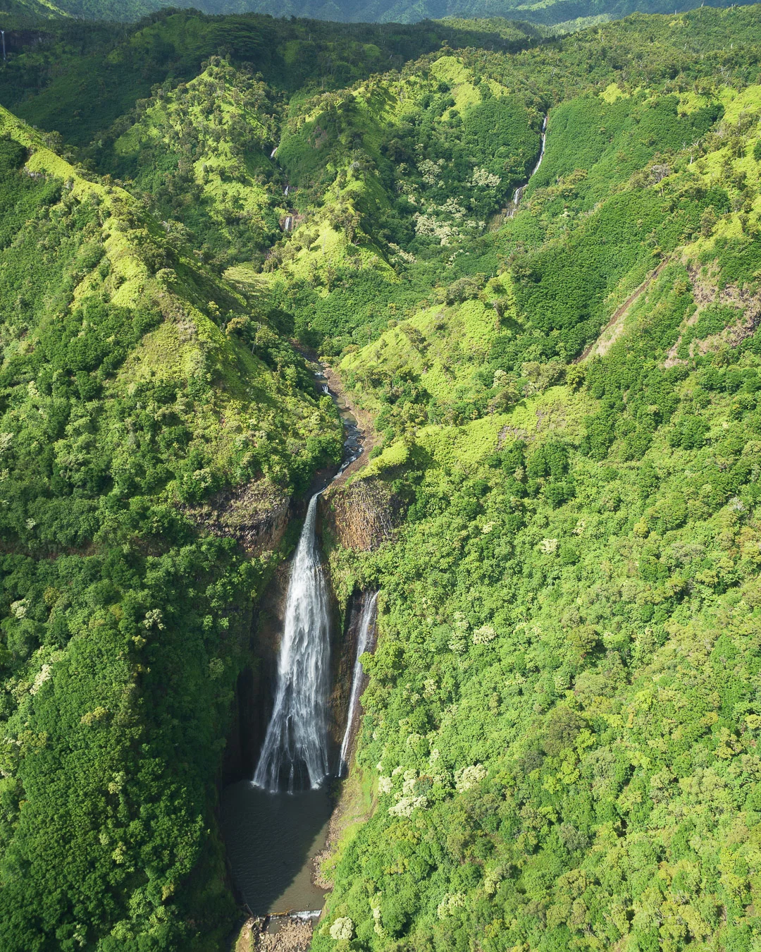 Unser Abbild der Jurassic Falls