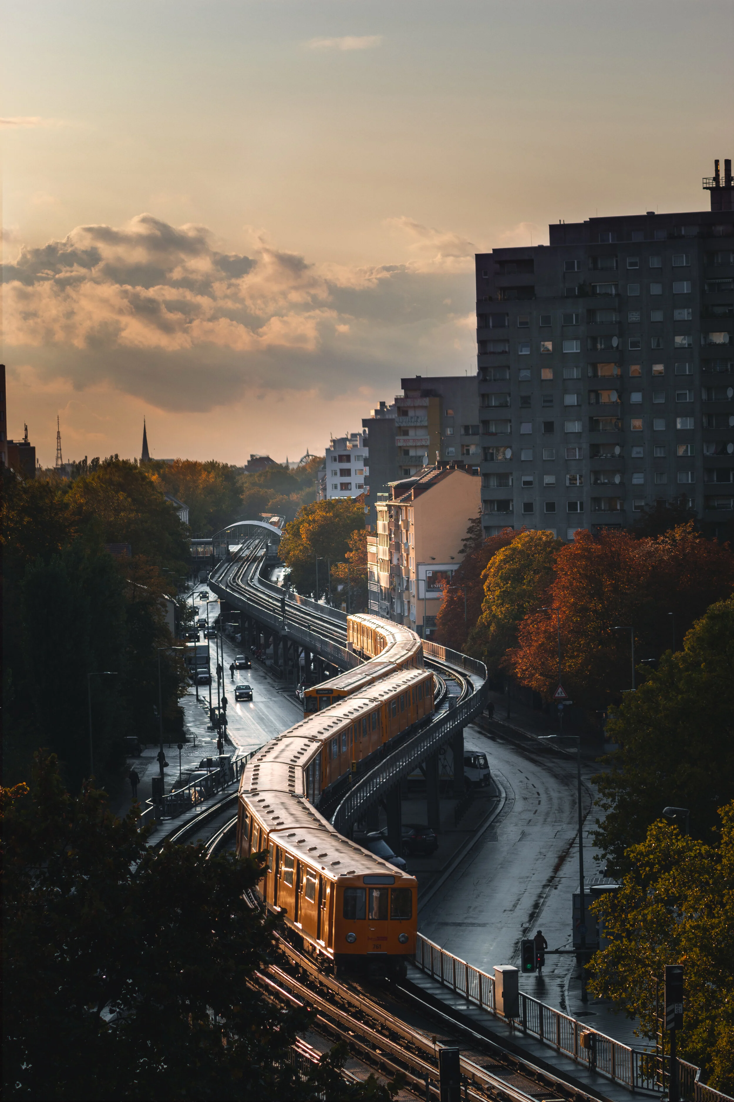 Schlange Train.jpg