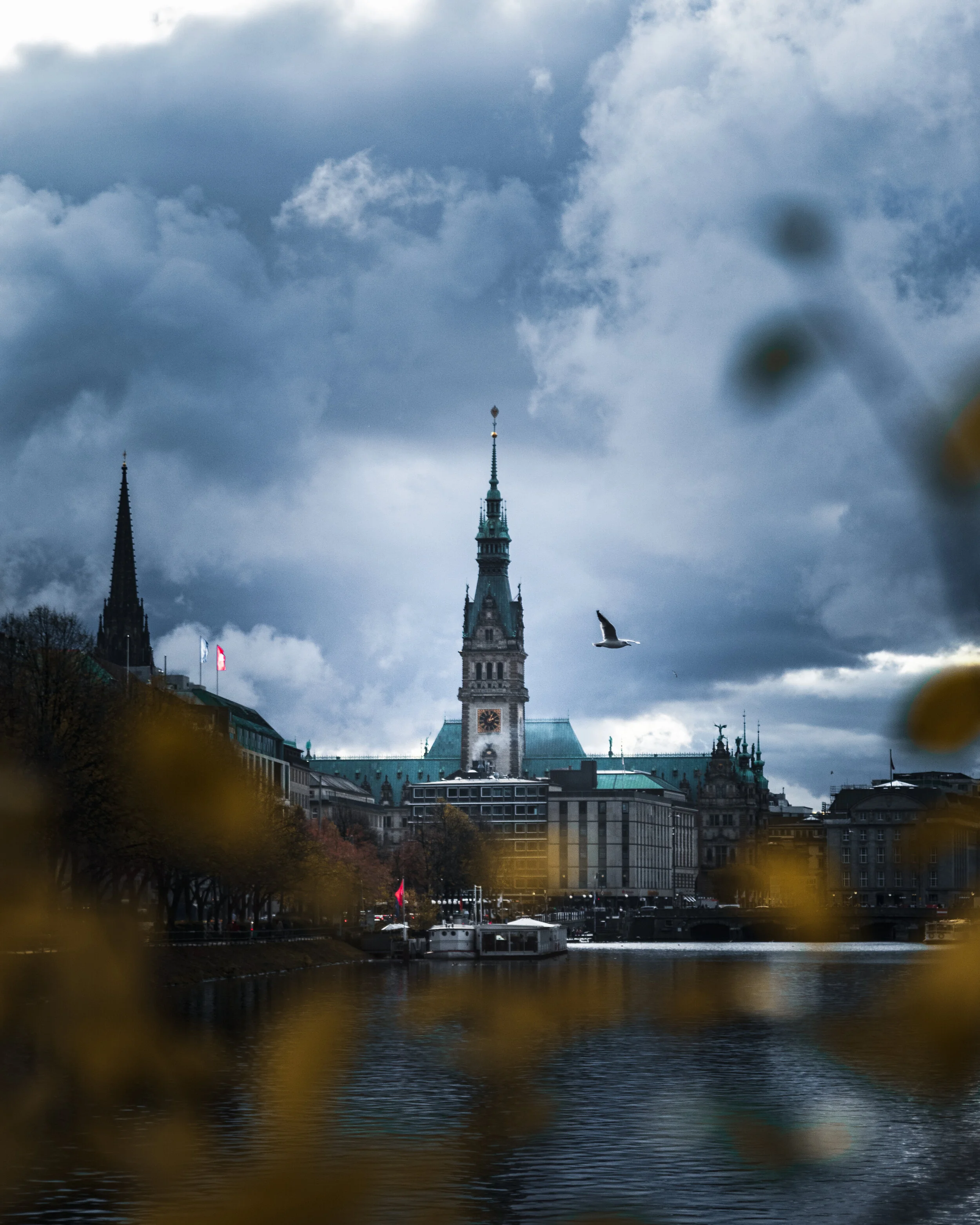 Hamburg Rathaus Moody.jpg