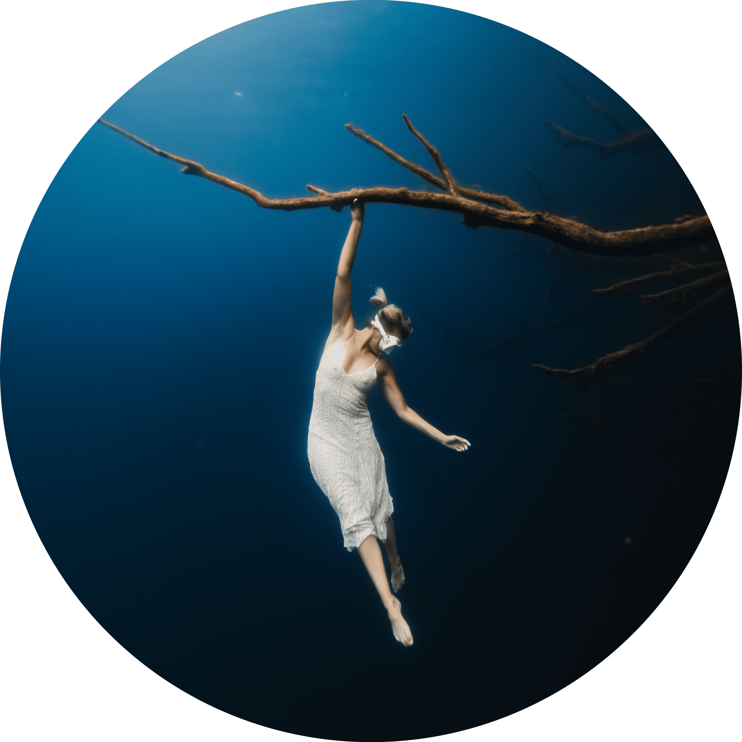 cropped_circle_image (1).png
