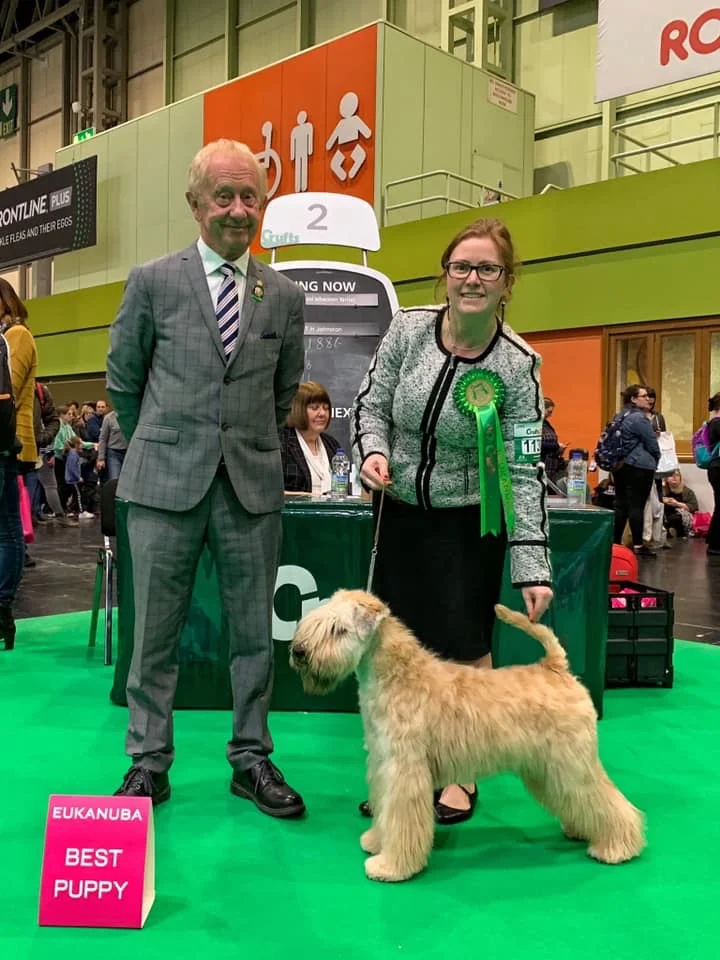 Williow at Crufts