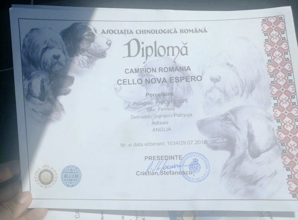 cello-diploma18.png