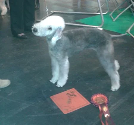 Sue and Jane McCourt's Dylan
