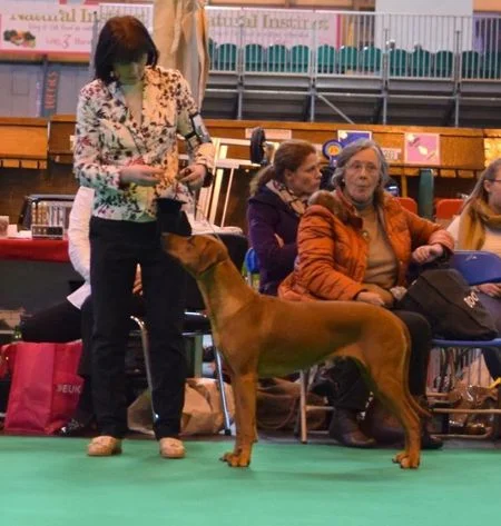 Debbie Parish's Eilah (Rottzridge Me And My Girl)