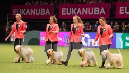 Picture © Yulia Titovets, official Crufts photographer