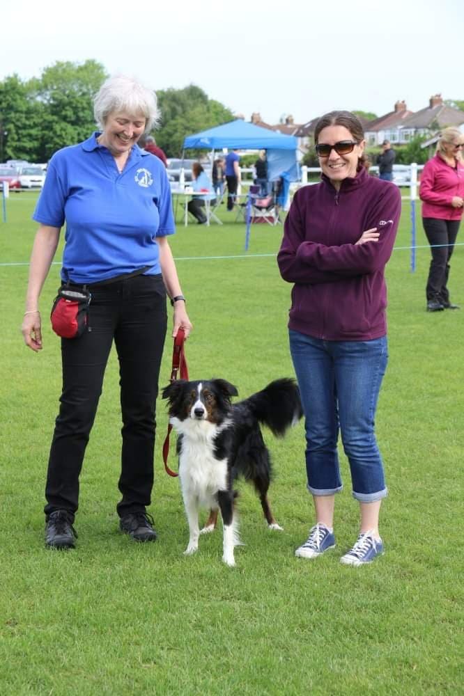 Open Show — Warlingham Dog Training Club