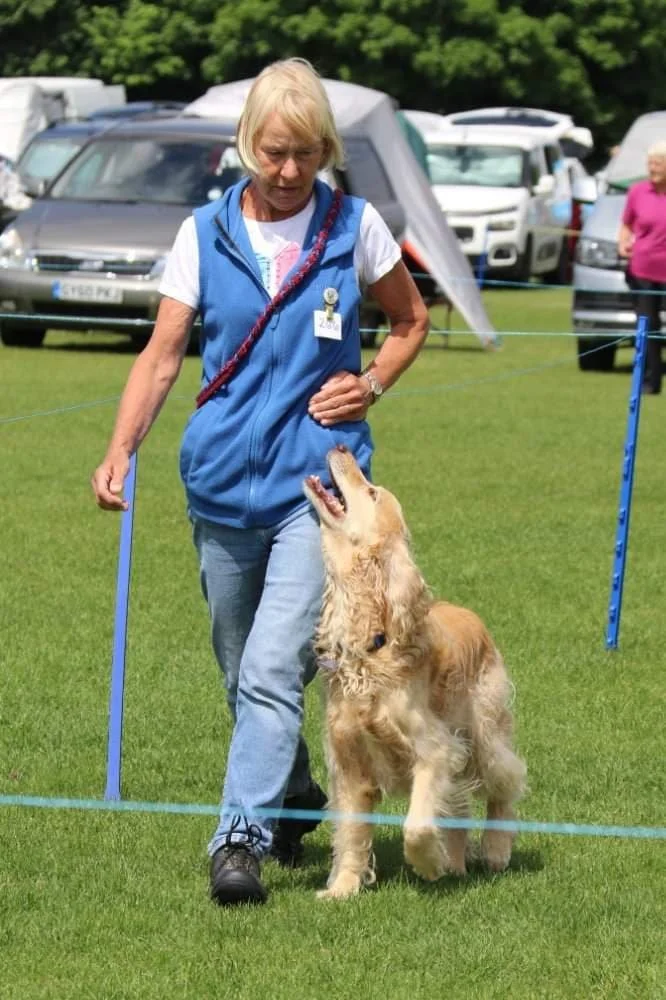 Open Show — Warlingham Dog Training Club